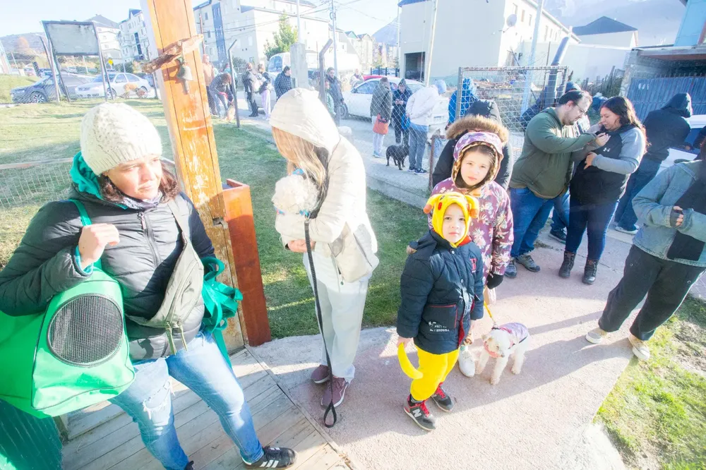 WhatsApp Image 2025-05-19 at 15.49.18