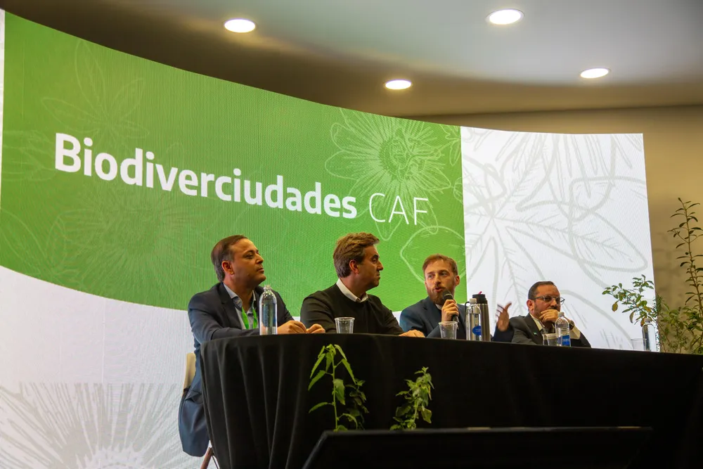 WhatsApp Image 2025-08-03 at 17.41.03