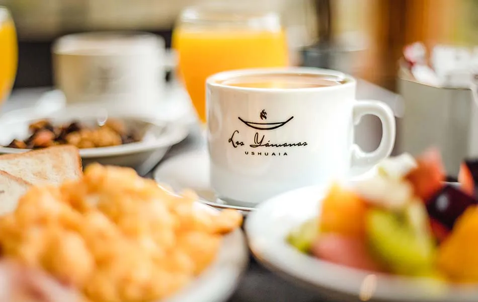 desayunador-del-bosque-04