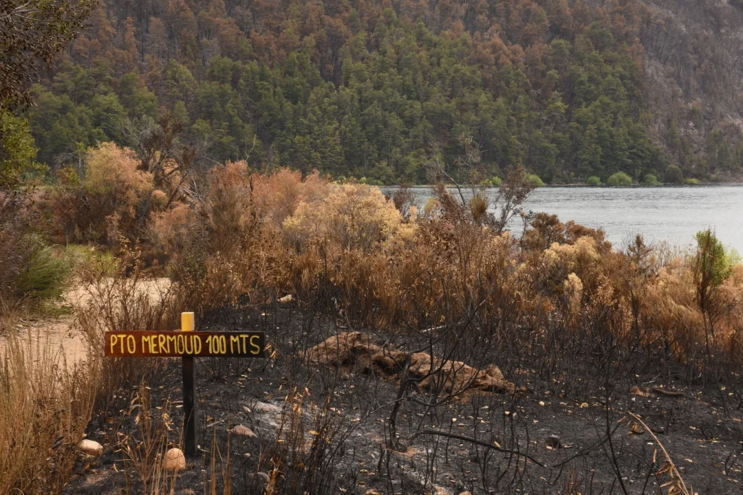 PN Los Alerces - Lago Verde - 14-1-26 (1)