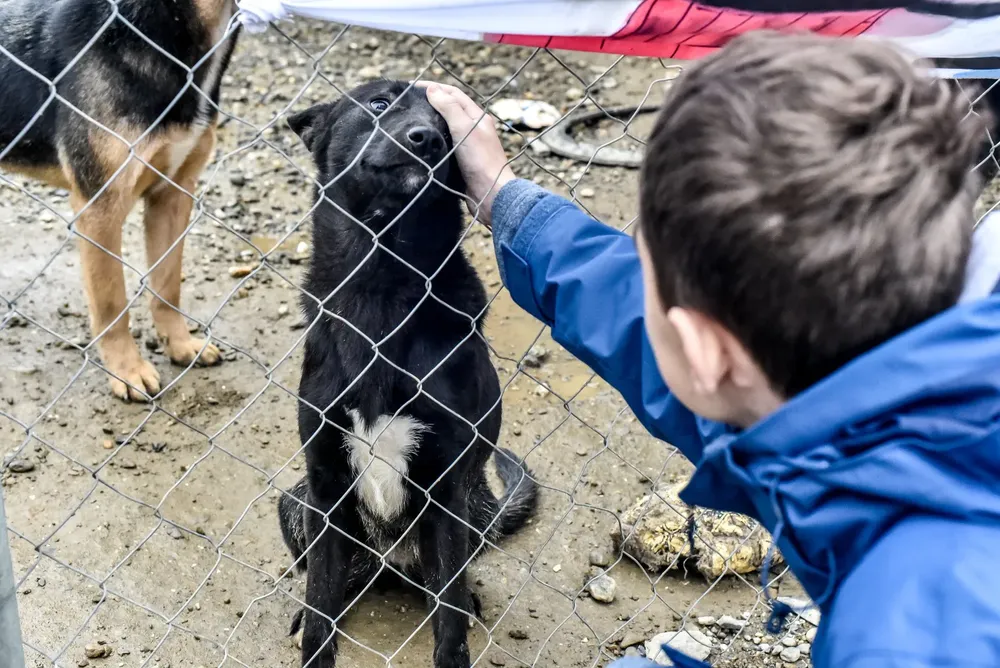 WhatsApp Image 2024-05-29 at 11.24.36 (1)