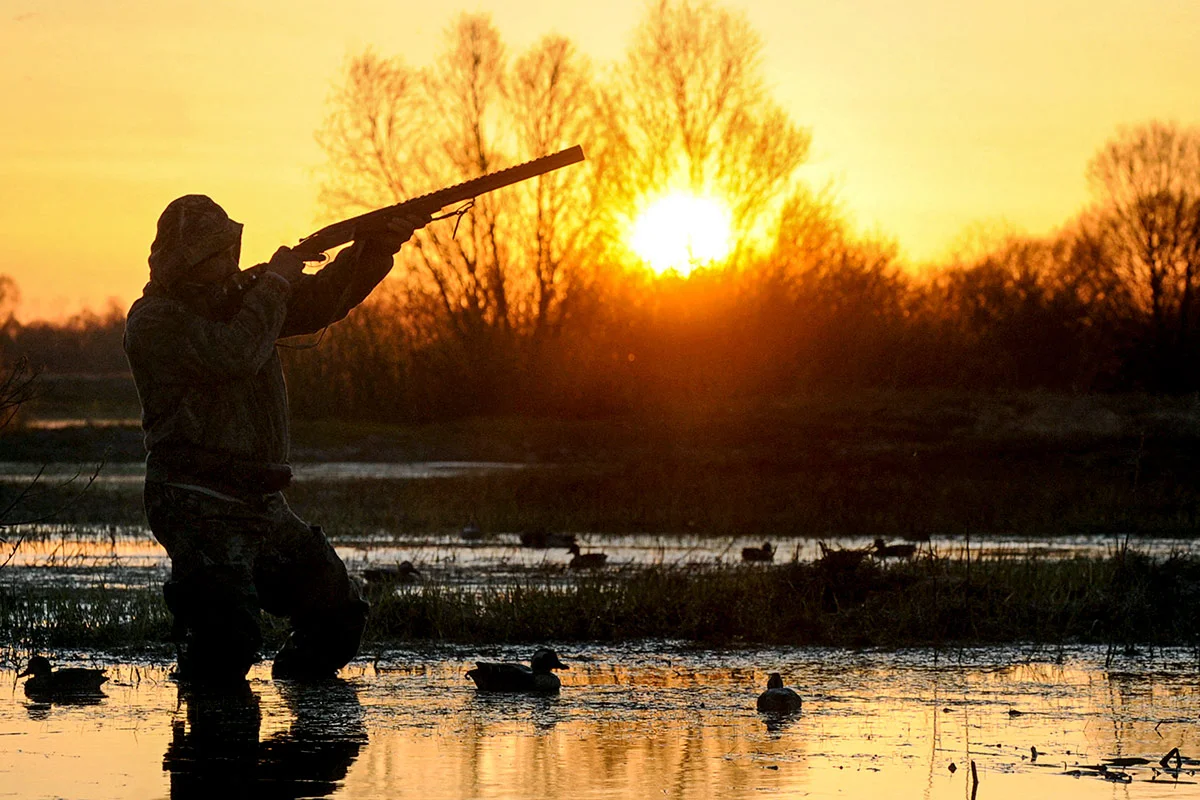 Web_2014-04-05_Caza-de-Patos_Viktor-Drachev-AFP