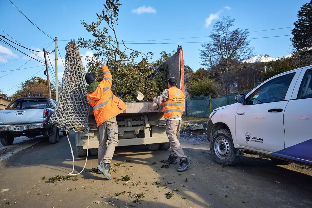 WhatsApp Image 2025-09-13 at 16.30.04