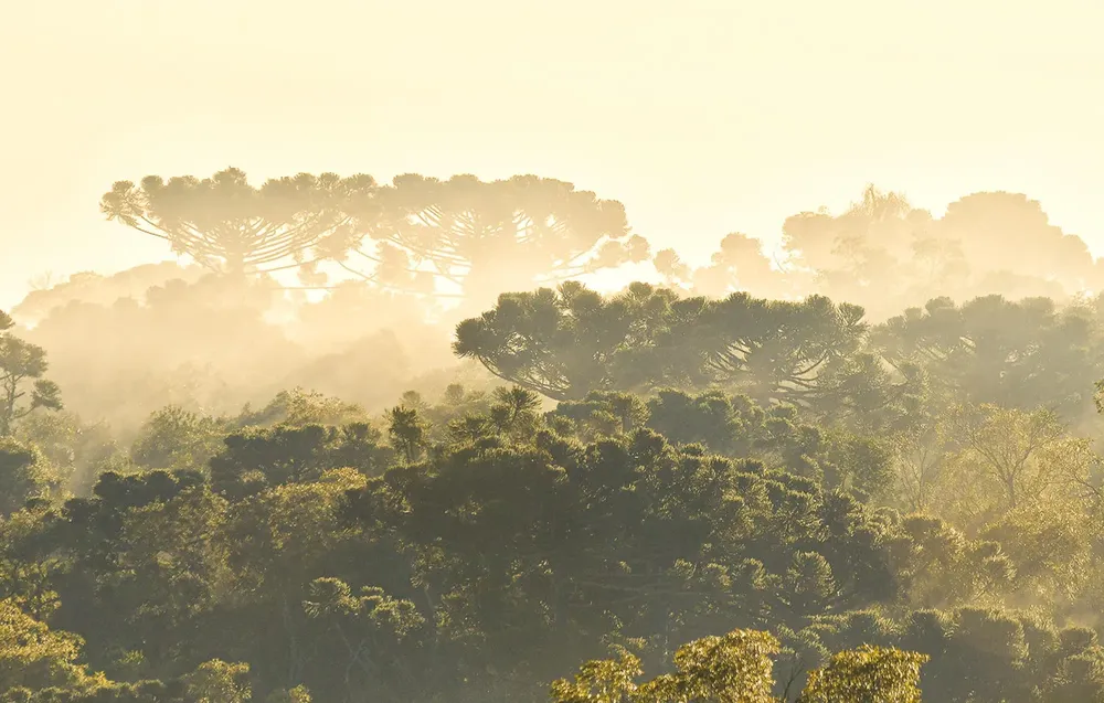 KBA - Créditos_ Sergio Moya(1)