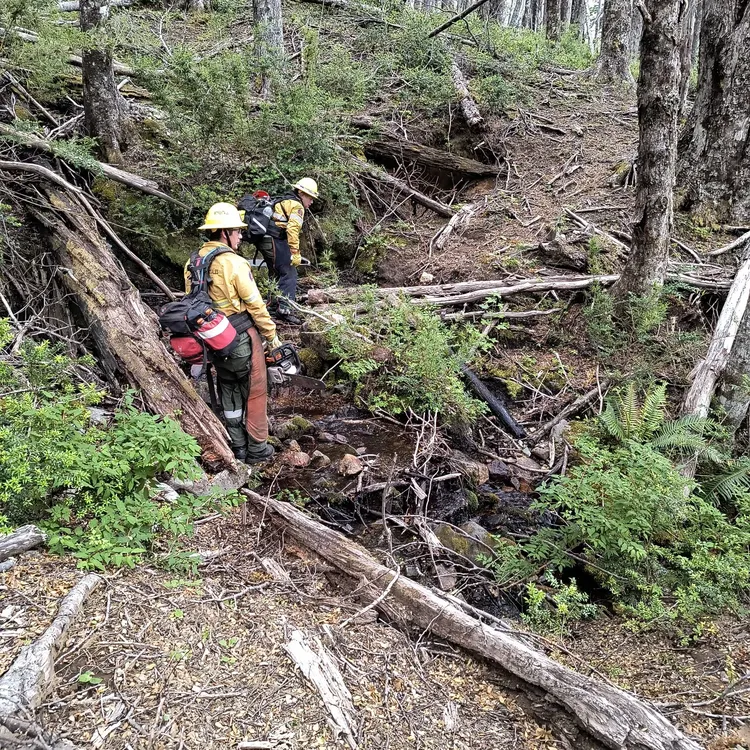 WhatsApp Image 2025-01-08 at 08.36.47