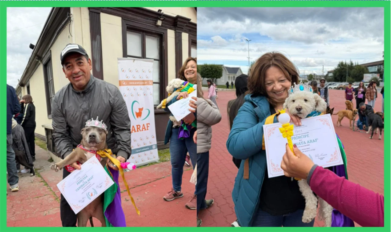 WhatsApp Image 2026-03-04 at 13.29.03 (1)