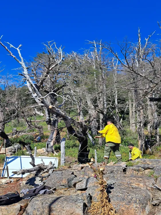 WhatsApp Image 2024-03-04 at 11.17.28 (1)