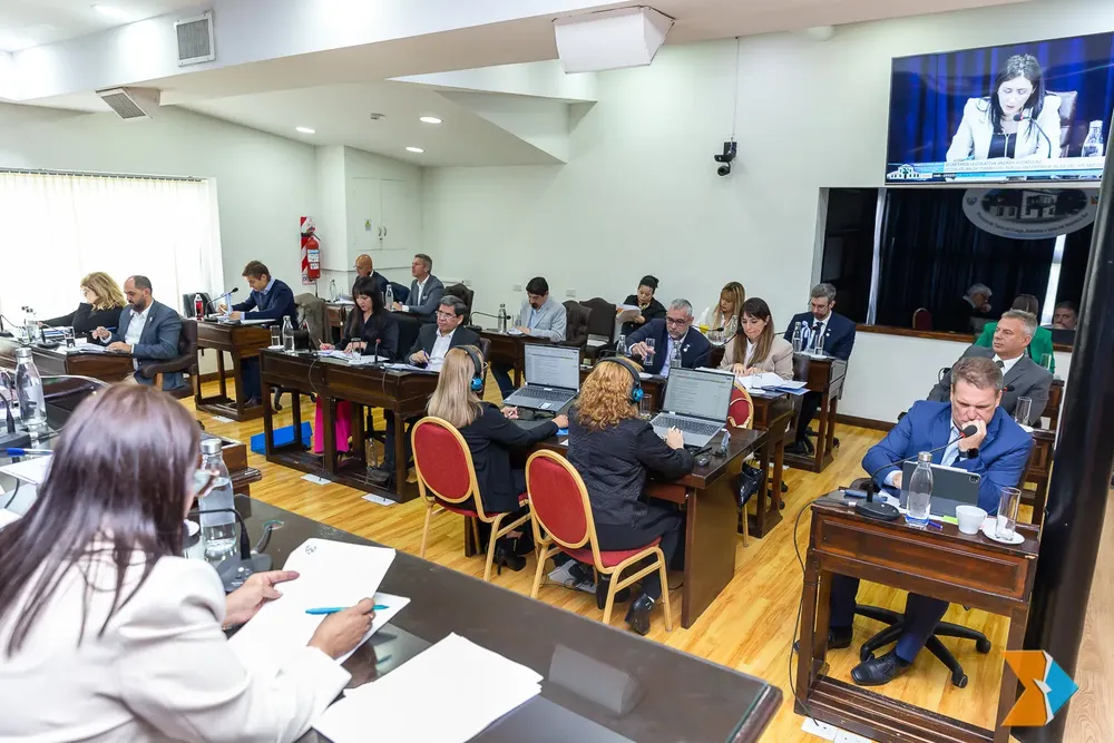 WhatsApp Image 2025-12-15 at 23.15.39