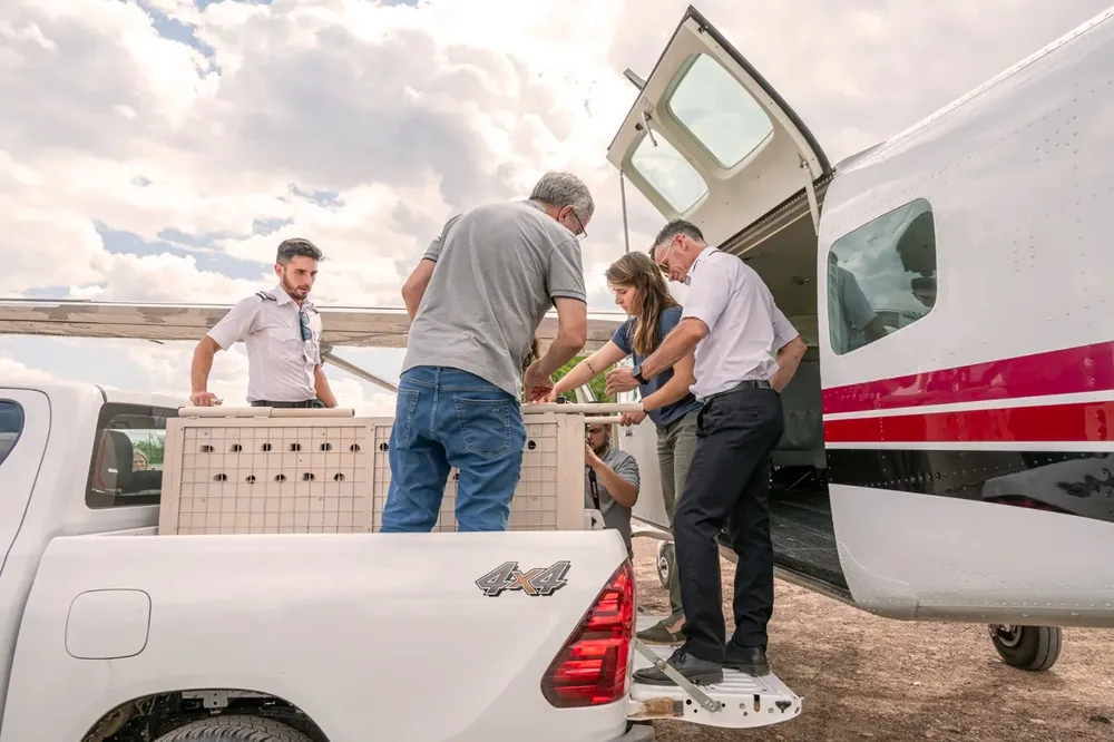 WhatsApp Image 2024-10-25 at 09.15.41 (1)