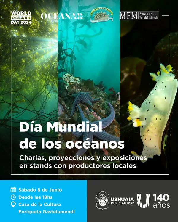 WhatsApp Image 2024-06-05 at 13.57.49