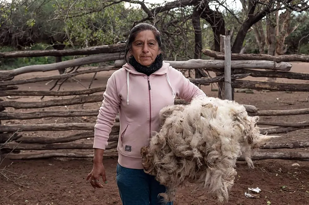 WhatsApp Image 2024-11-14 at 19.36.25 (2)