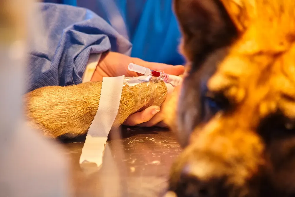 WhatsApp Image 2024-06-16 at 16.22.40