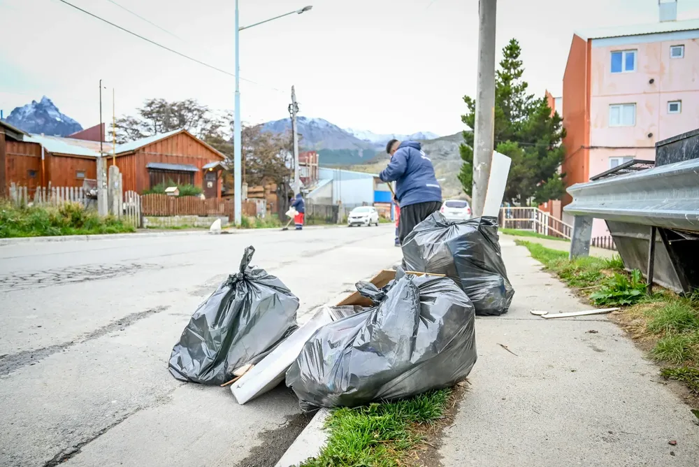 WhatsApp Image 2024-03-14 at 14.38.27 (1)