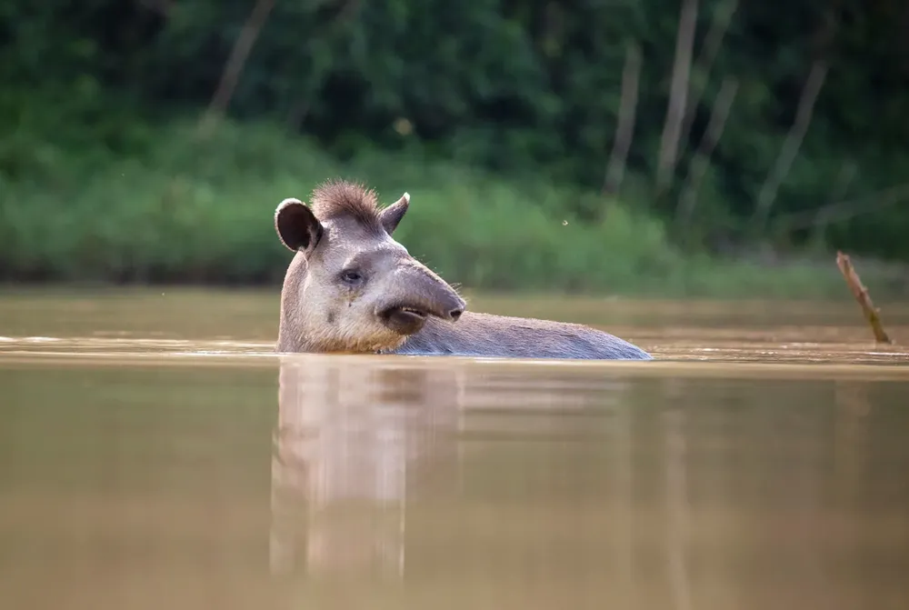 WhatsApp Image 2025-01-03 at 21.46.27