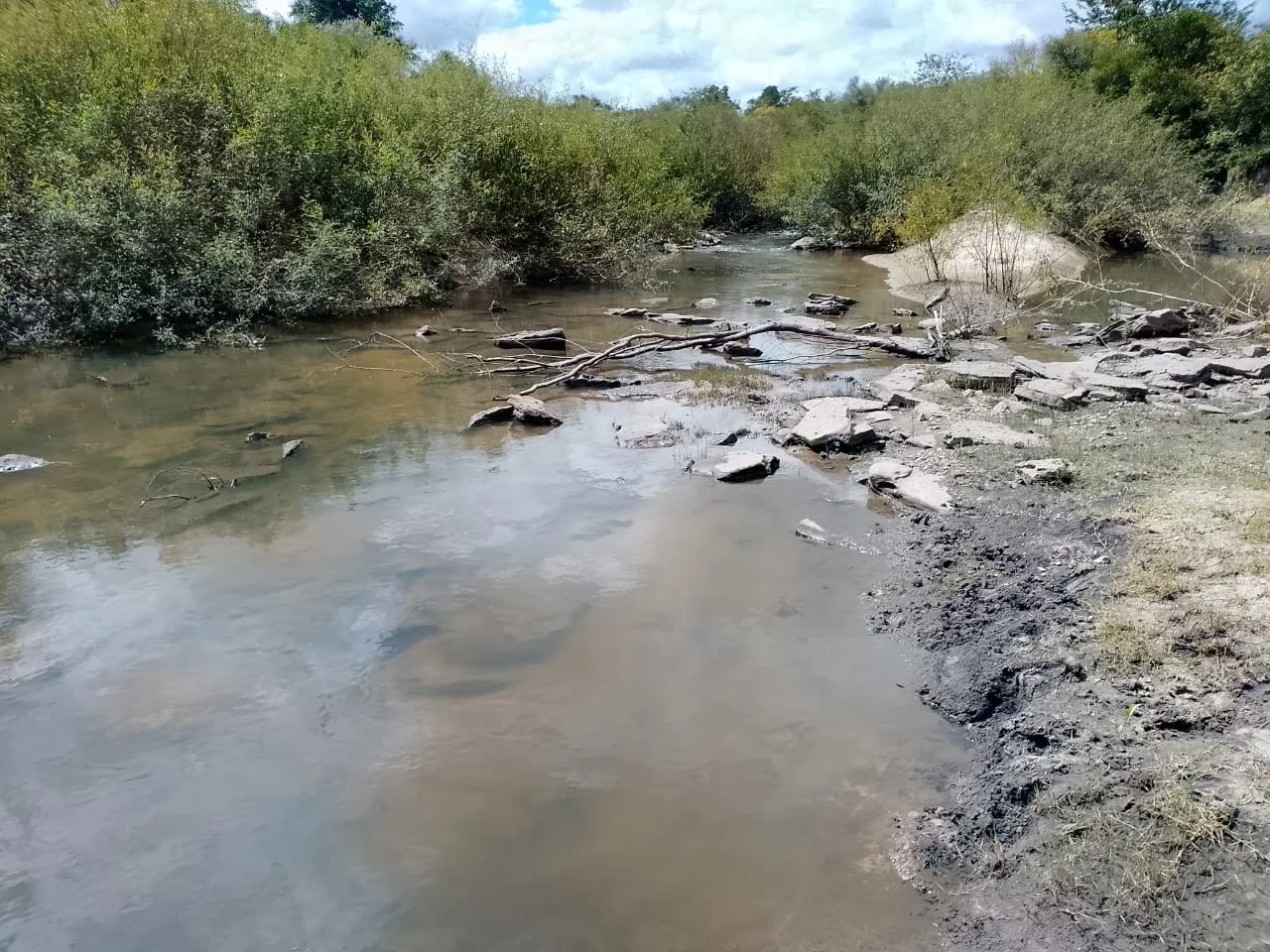 WhatsApp Image 2026-03-29 at 13.38.18