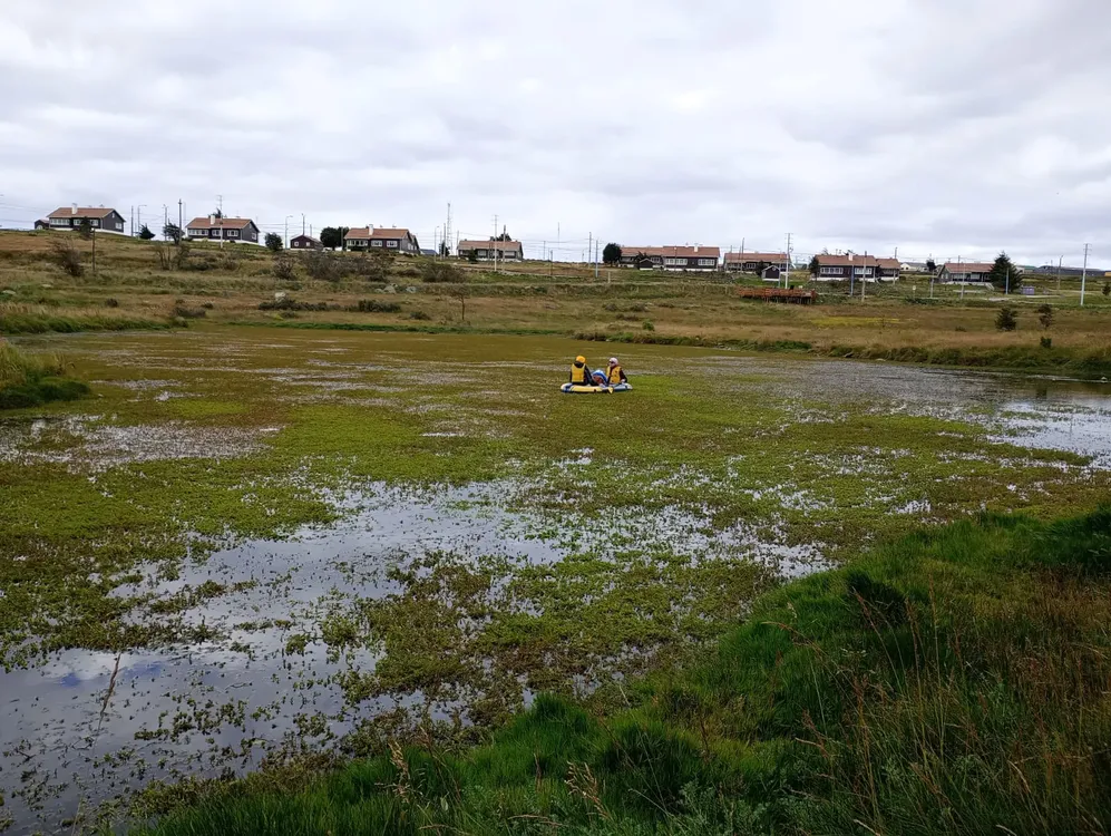 WhatsApp Image 2024-03-02 at 17.16.22