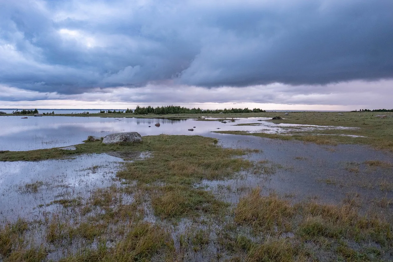 wetlands-4559697_1280