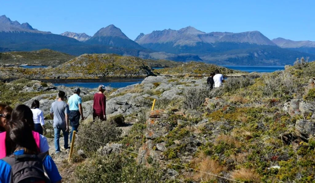 Parque-Nacional-Tierra-del-Fuego-en-enero-1024x597