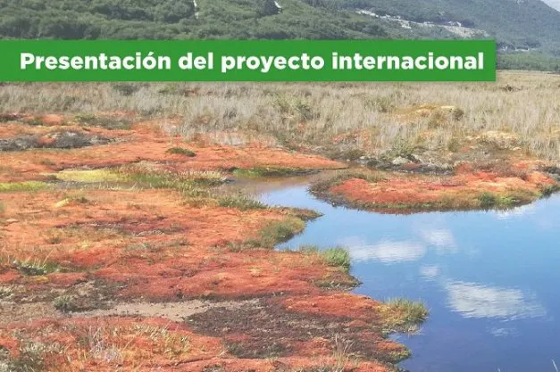 001_post_web_1770749471