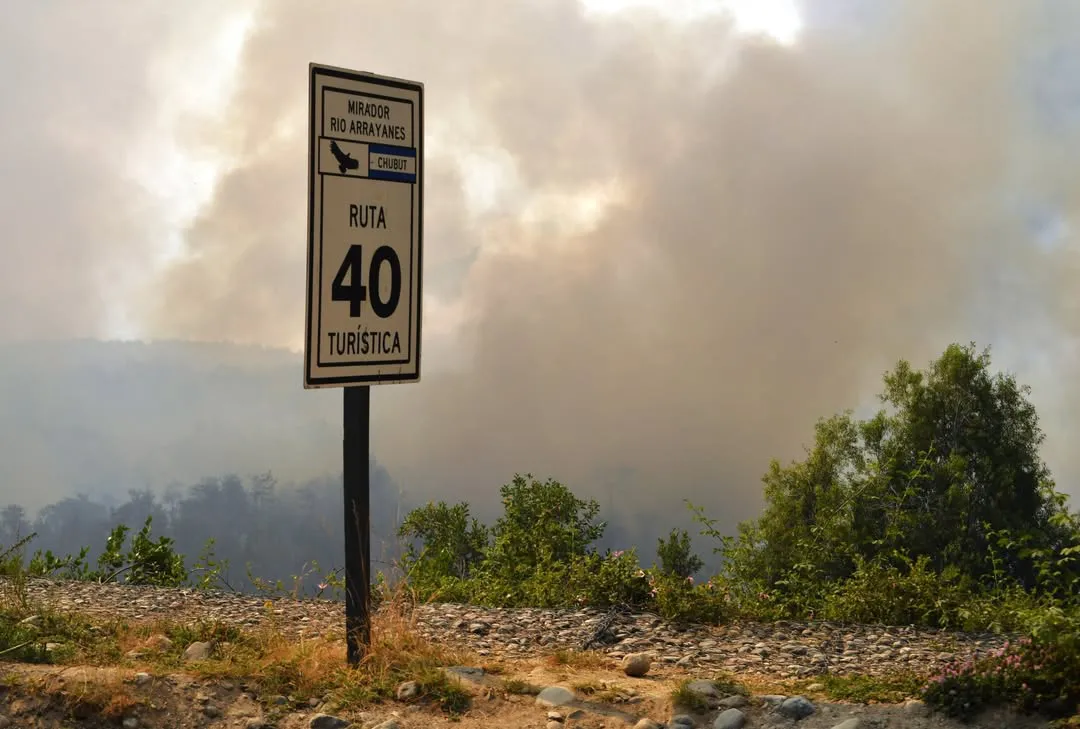 El paraíso convertido en infierno.Zona Norte, Parque Nacional Los Alerces, Chubut, Patagonia Arg (4)
