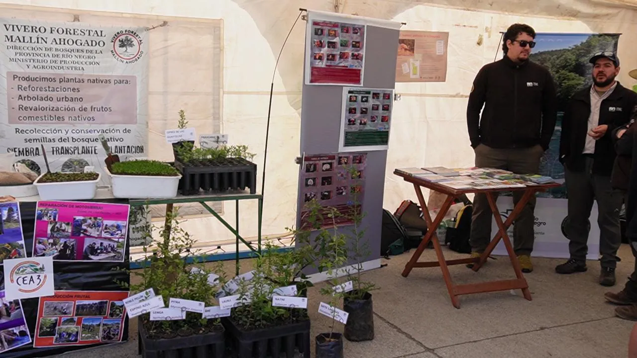 WhatsApp Image 2024-11-07 at 11.35.04