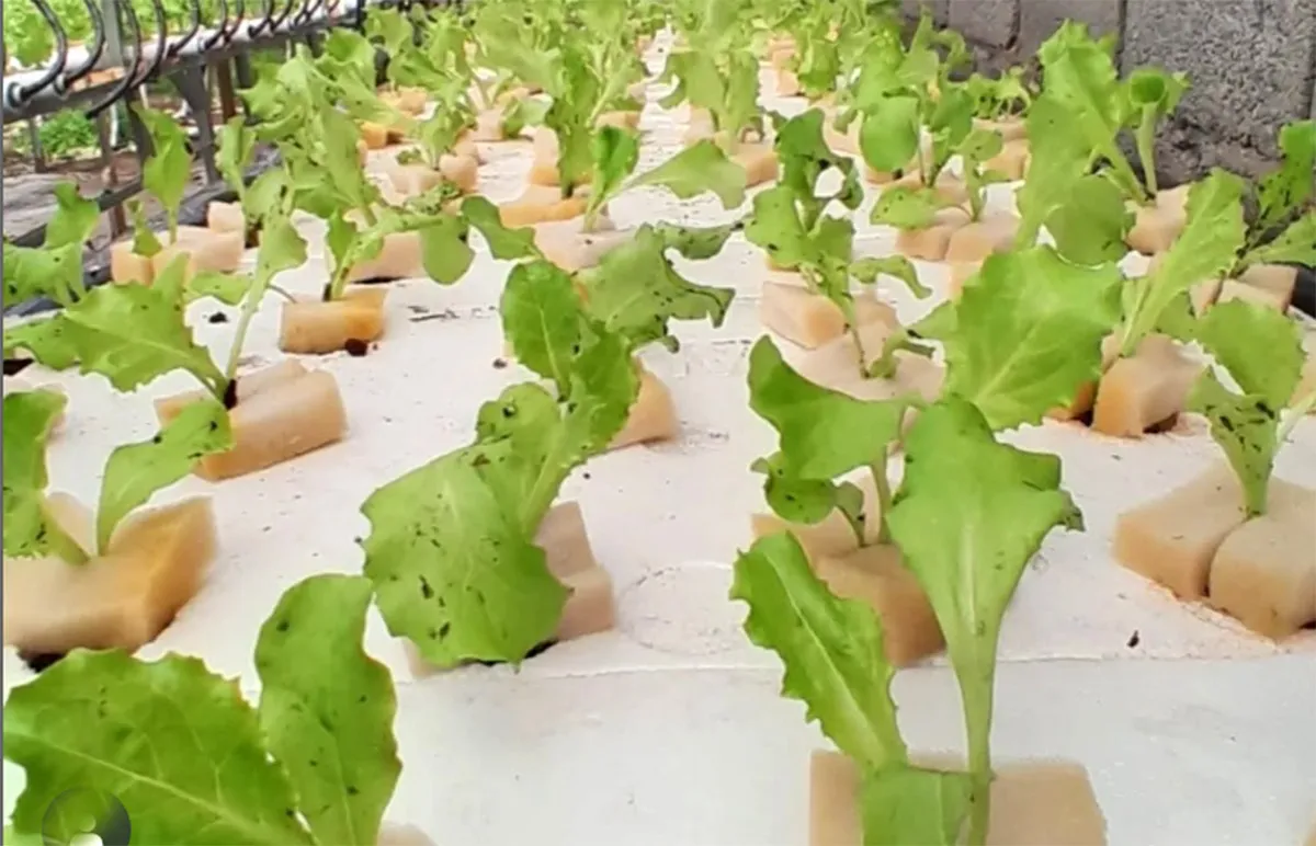 WhatsApp Image 2025-06-04 at 15.12.41 (1)