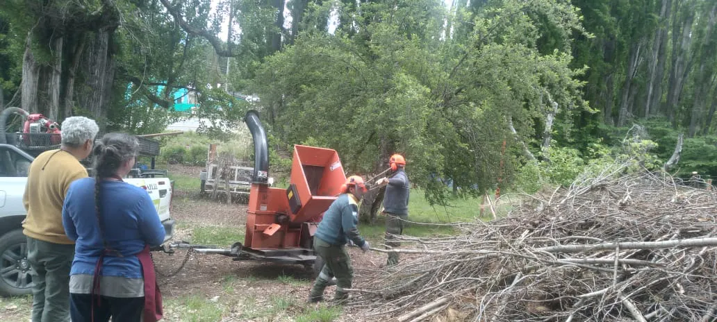 WhatsApp Image 2024-12-09 at 09.38.46 (1)