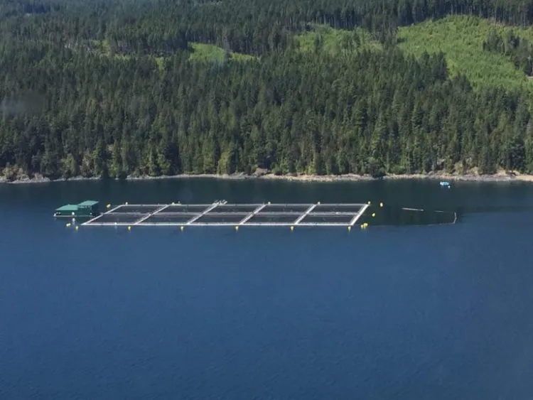 Hardwicke-aerial-768x576-1-750x563