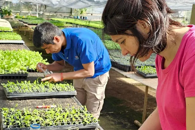 paginaweb_producciondebioinsumos_1753888397