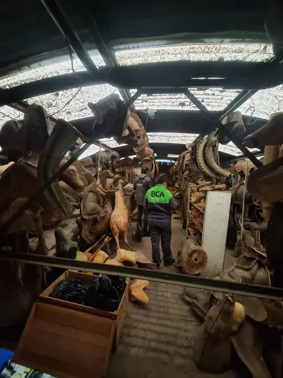 WhatsApp Image 2025-04-25 at 15.34.36 (1)