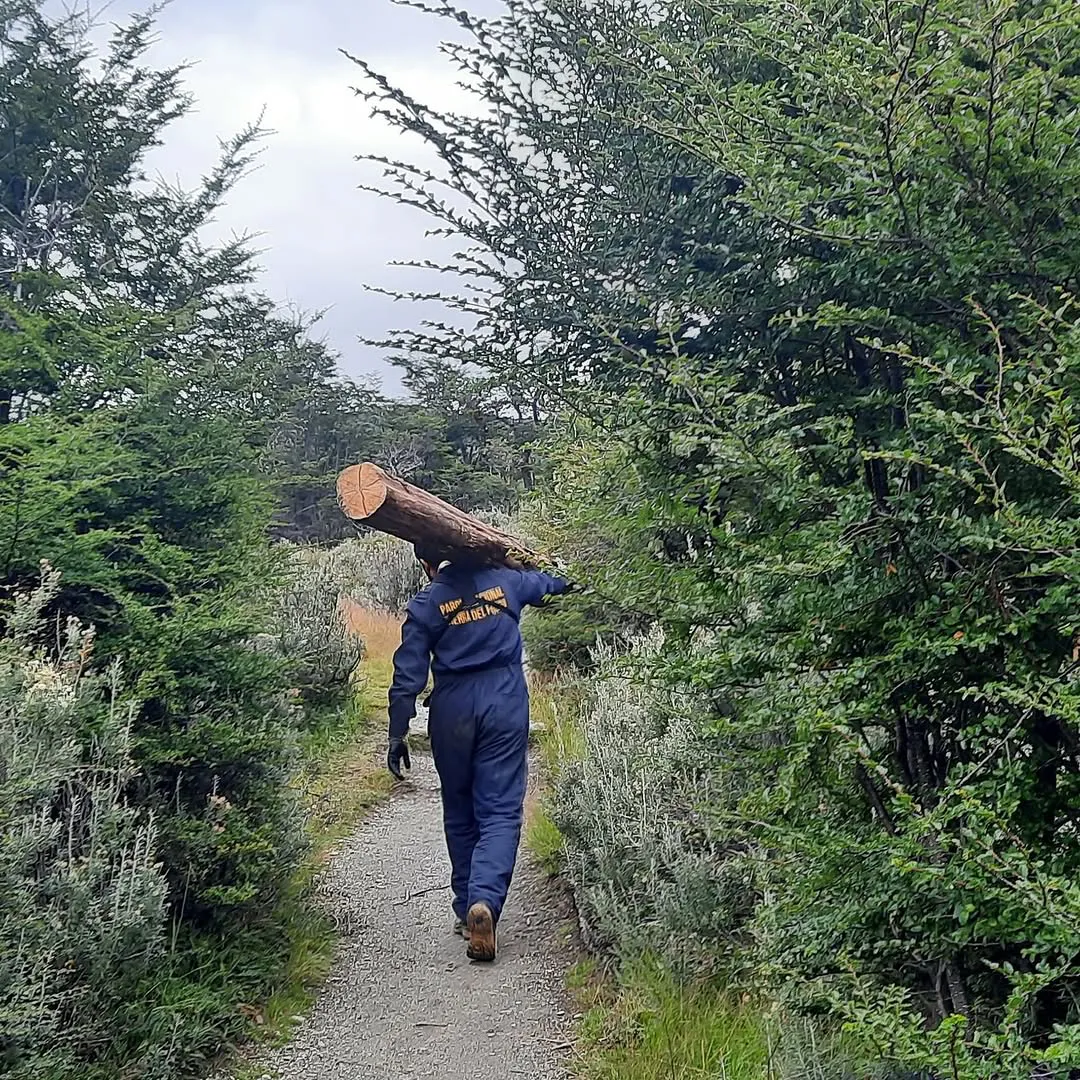 Puesta en valor del Mirador Bahía Lapataia El Parque Nacional Tierra del Fuego continúa trabajando para ofrecer servicios de calidad y revalorizar sus espacios más emblemáticos. Actualmente, nos encontramos en la segunda -4