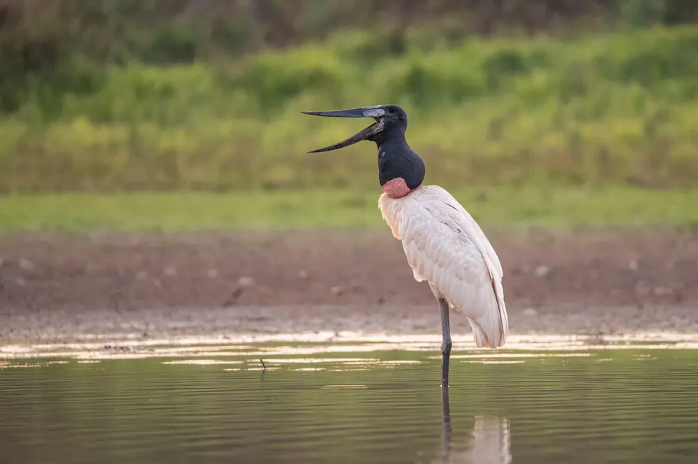 WhatsApp Image 2023-12-24 at 13.44.32