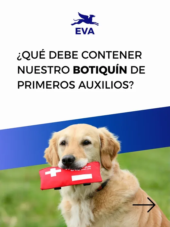 ¿Estás preparado-a para actuar en los primeros minutos de una emergencia 🐾🆘Un botiquín bien e