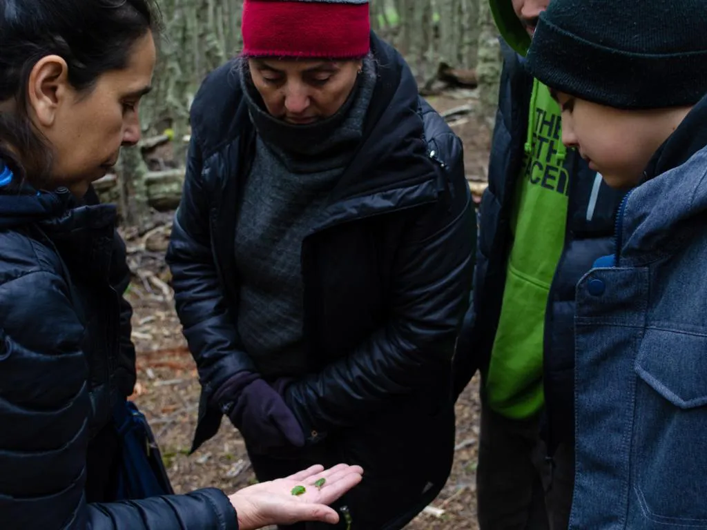 WhatsApp Image 2023-11-08 at 15.50.36