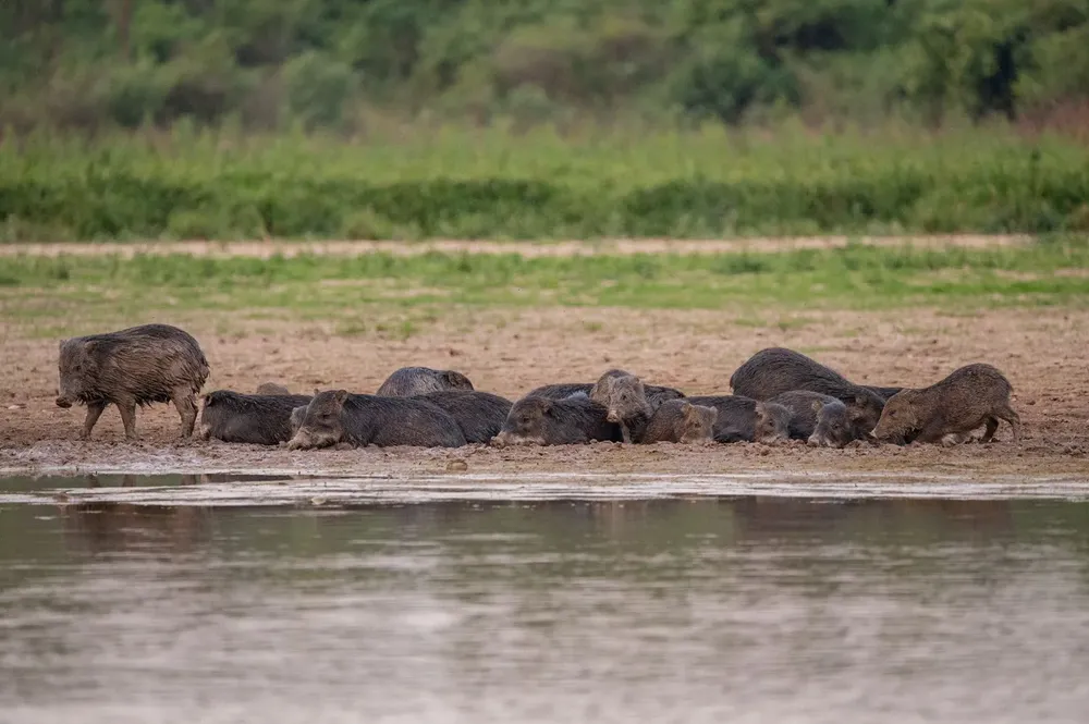 WhatsApp Image 2023-12-24 at 13.44.33