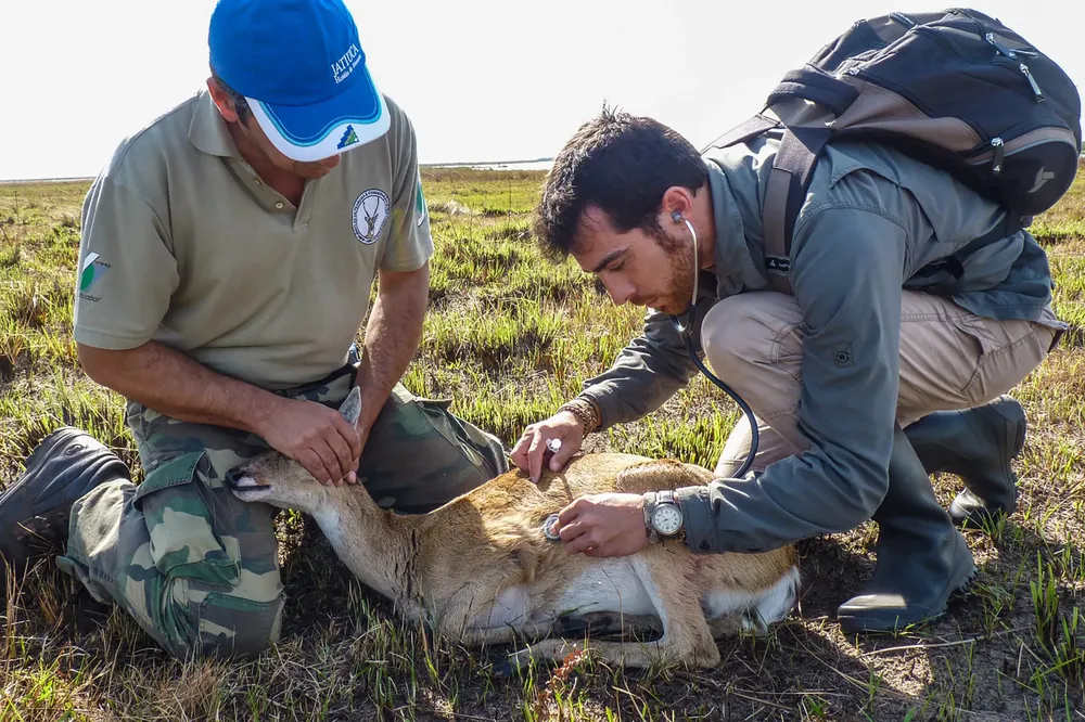 WhatsApp Image 2024-10-25 at 09.15.24