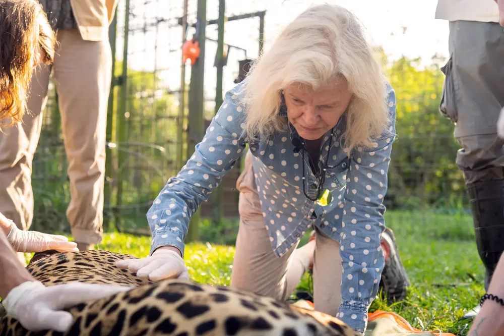 WhatsApp Image 2024-10-25 at 09.15.39 (1)