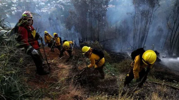 f608x342-19394_49117_0