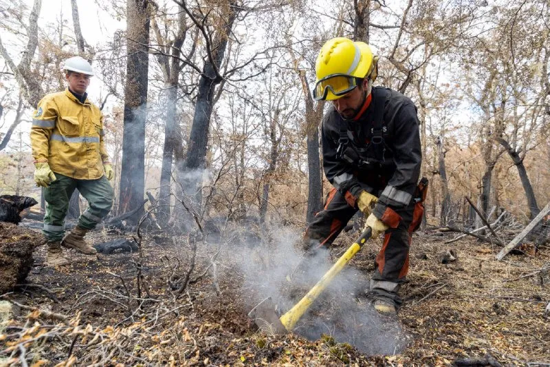 WhatsApp Image 2025-02-23 at 18.50.26