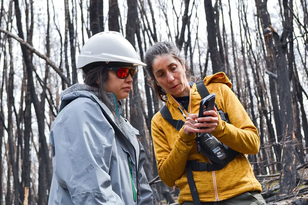 WhatsApp Image 2024-02-15 at 20.02.34