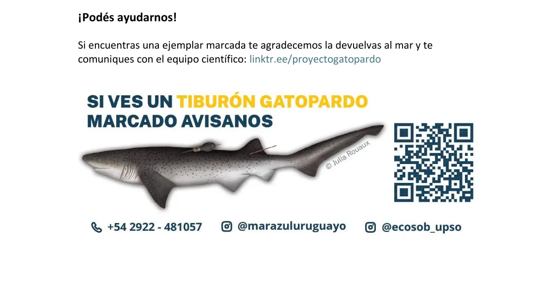 Captura de pantalla (230)