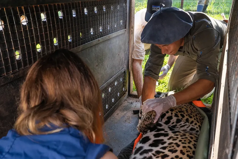 WhatsApp Image 2024-10-25 at 09.15.39 (2)