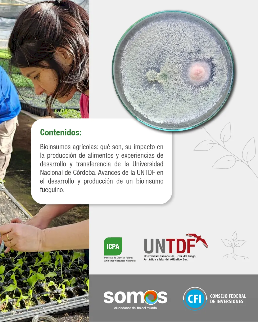 post_2_produccióndebioinsumos_1753891069 (1)