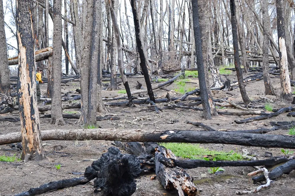 WhatsApp Image 2024-02-01 at 15.36.22