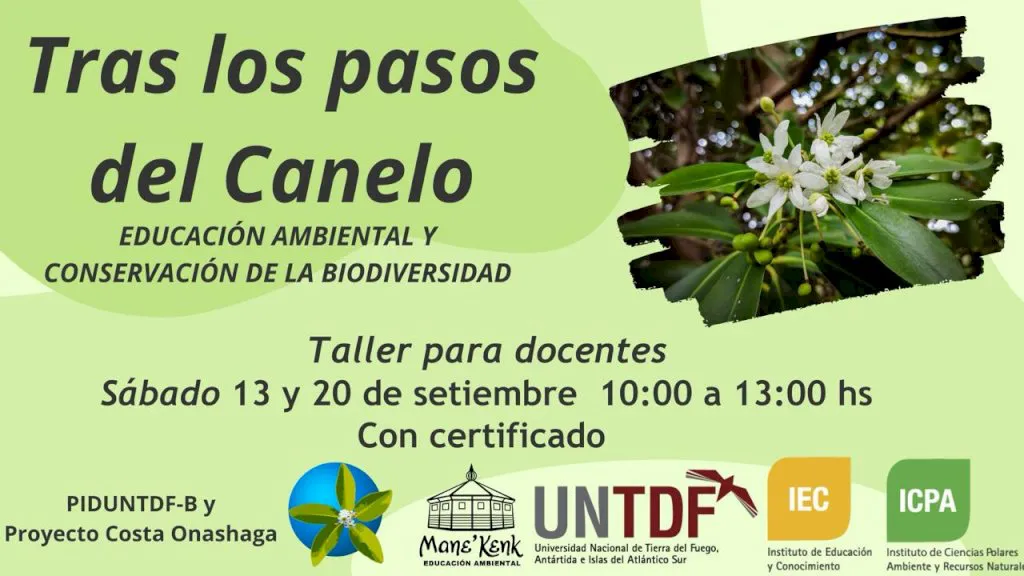 50075296-e379-4f3b-88d3-df8ba773dbed_1756838123