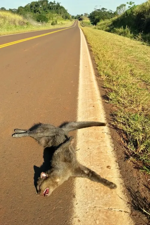 WhatsApp Image 2024-08-06 at 02.48.15