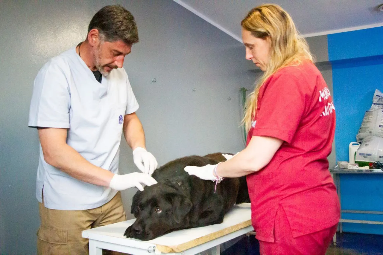 WhatsApp Image 2024-12-20 at 12.33.18