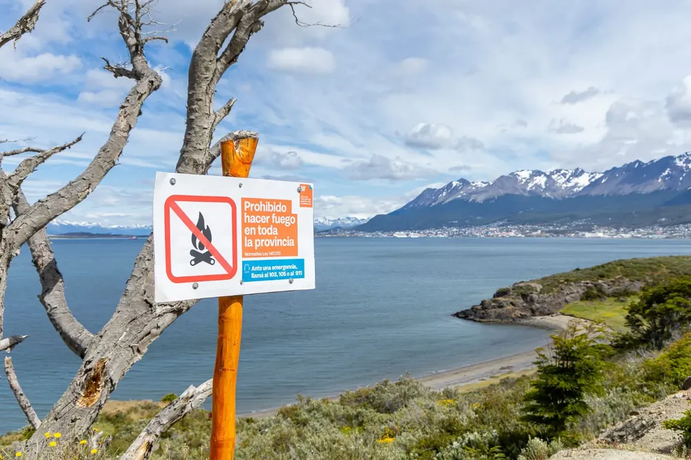 WhatsApp Image 2024-01-28 at 10.27.02 (1)