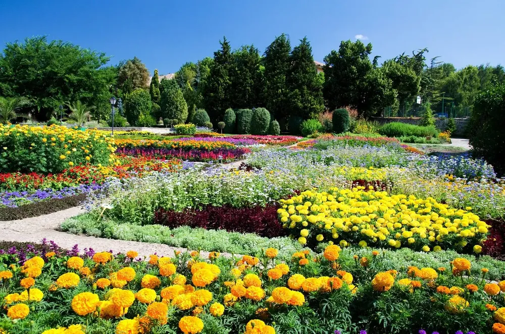 que_es_un_jardin_botanico_4290_orig