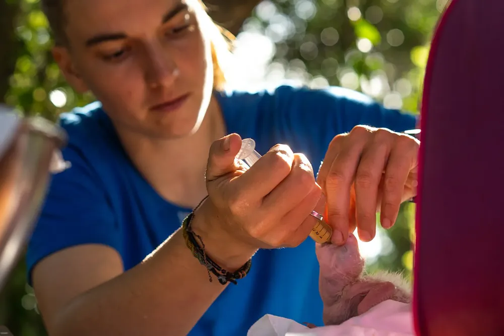 WhatsApp Image 2024-10-25 at 09.15.22